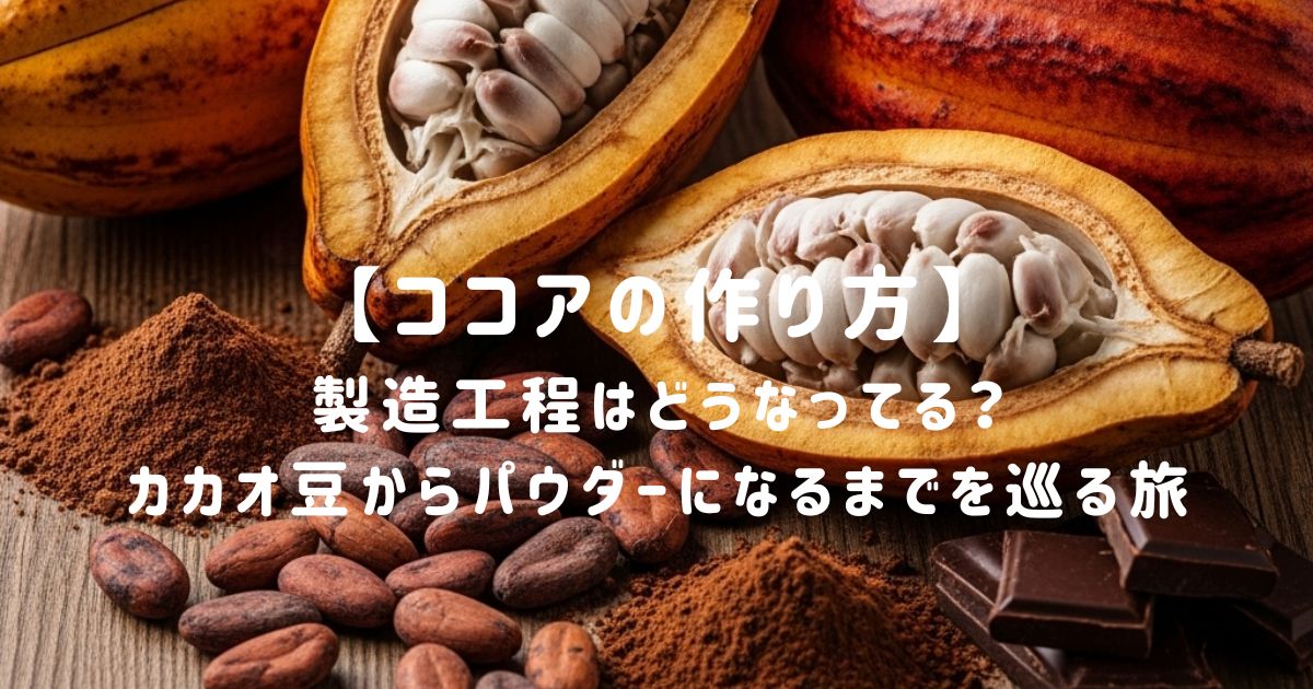 【ココアの作り方】製造工程はどうなってる？カカオ豆からパウダーになるまでを巡る旅