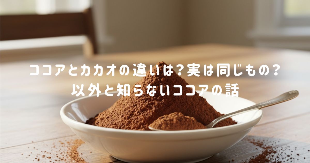 ココアとカカオの違いは？実は同じもの？以外と知らないココアの話